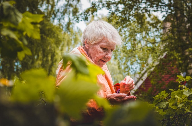 Kurs Pflege Demenz kranke Menschen oder Alzheimer